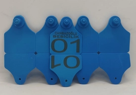 BÜYÜKBAŞ KULAK KÜPESİ